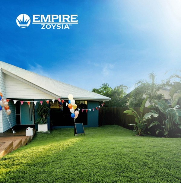 Empire Zoysia lawn