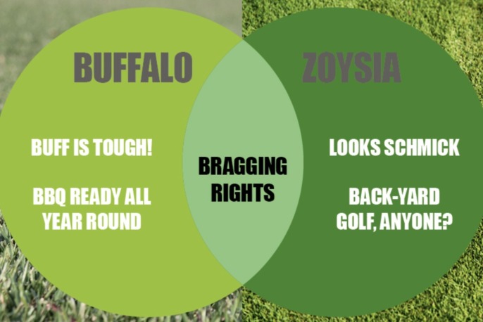 Buffalo and Zoysia lawns