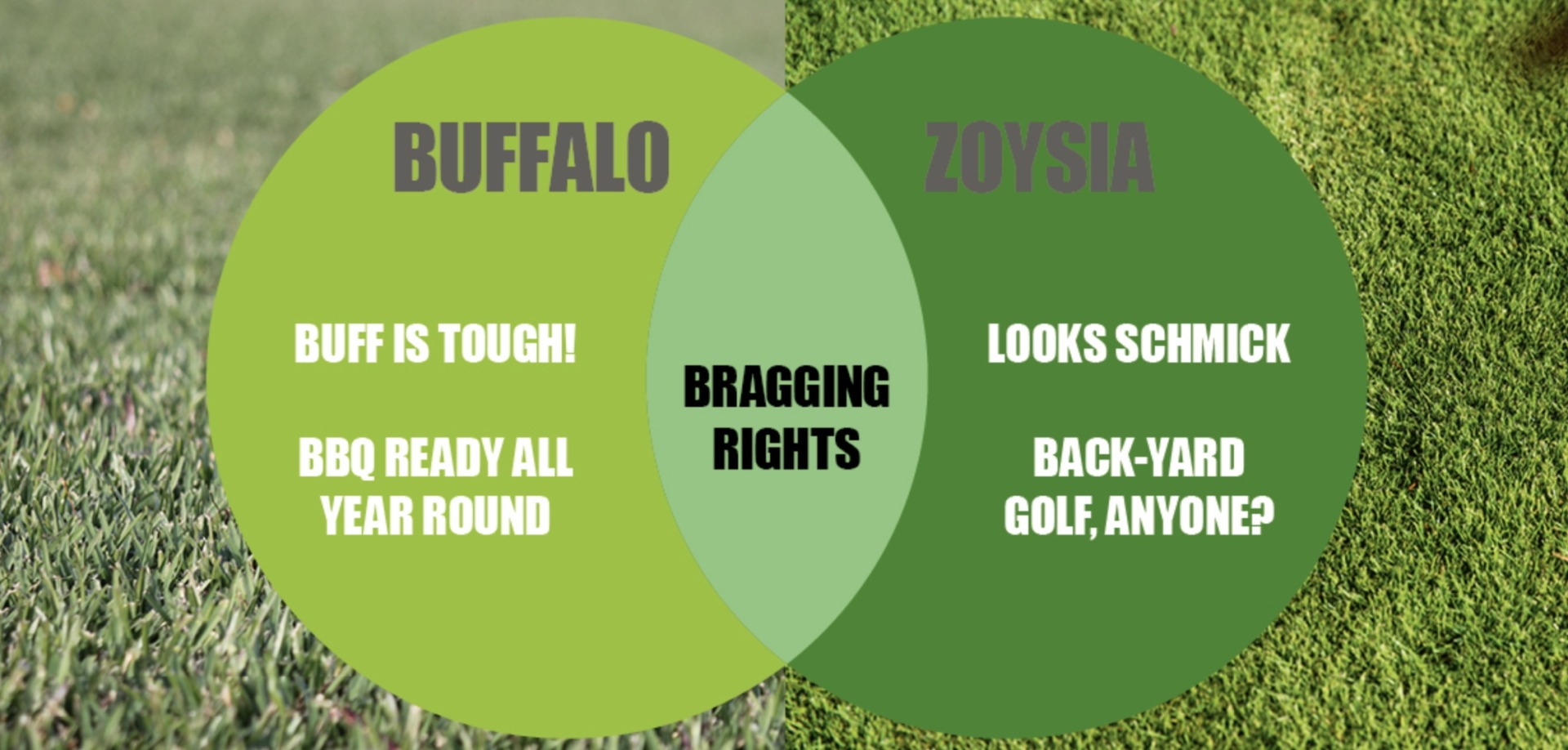 Buffalo and Zoysia lawns