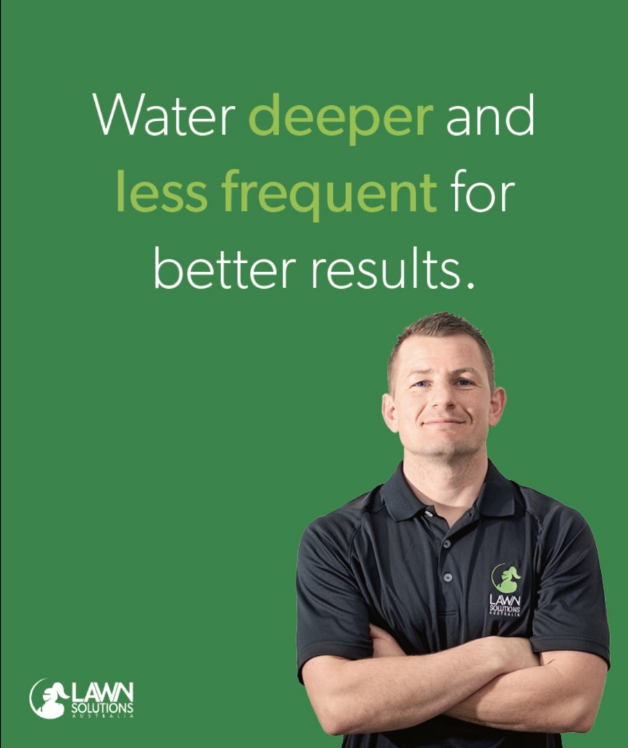 Water deeper and less frequent for better results