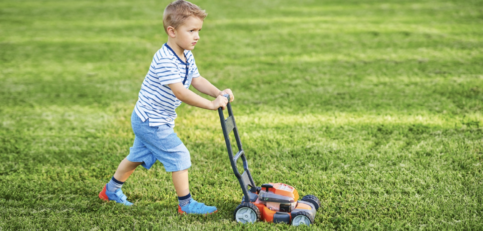 Why Regular Mowing Is Important