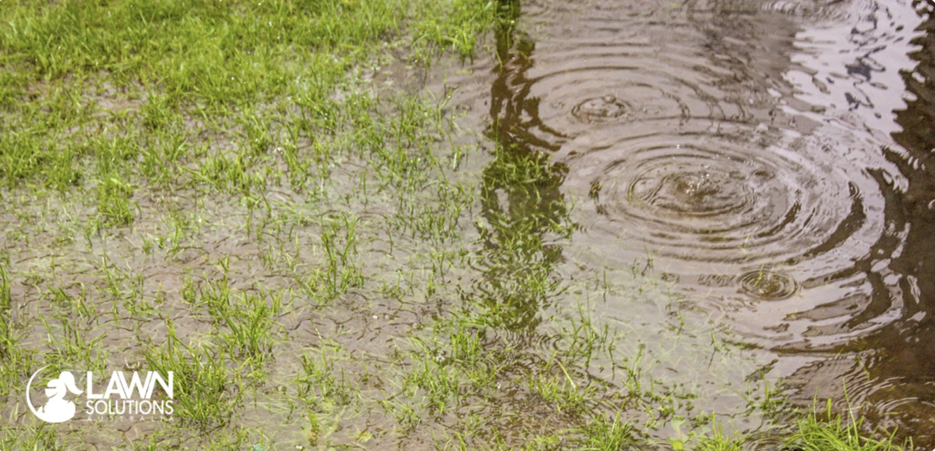 Helping Your Lawn Recover After Flooding