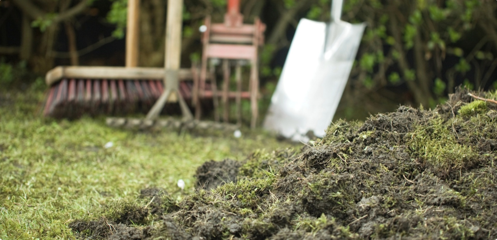 How to Rid Your Lawn of Moss