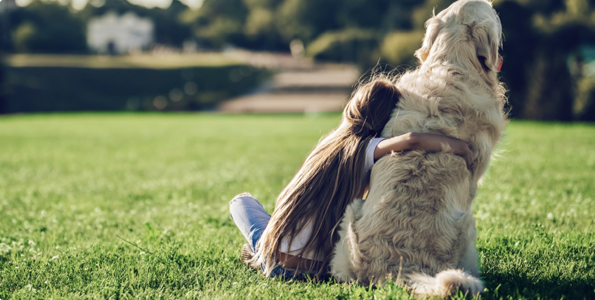 Best Lawn for Pets and Kids